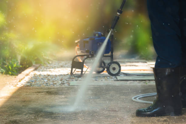 Best Roof Cleaning and Mildew Removal in Scarsdale, NY